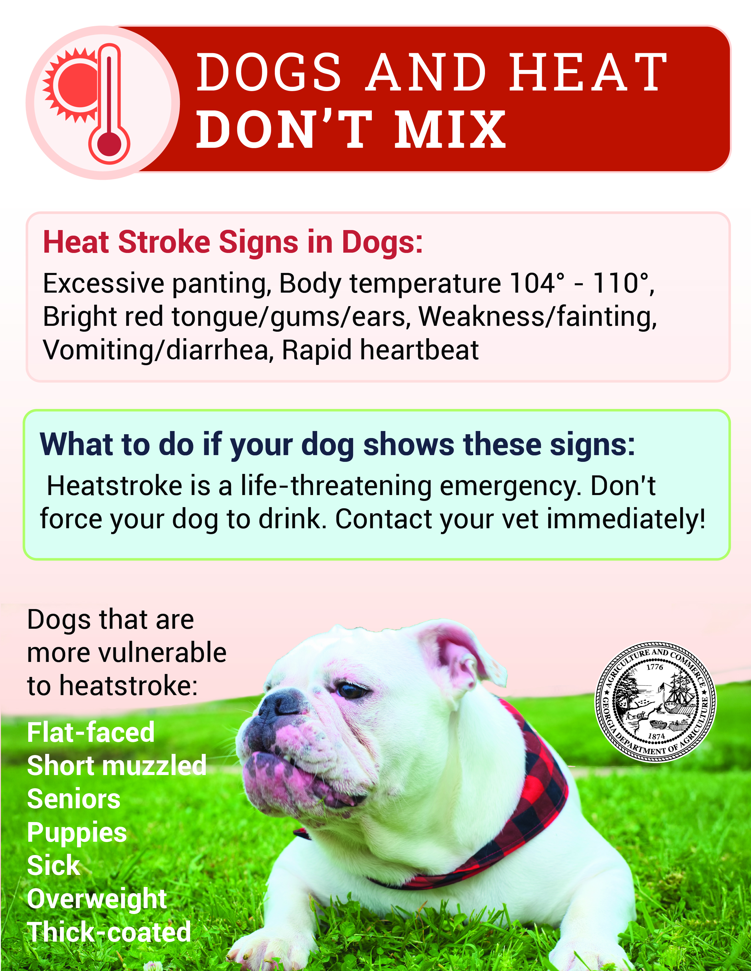 Dogs and Heat Don't Mix
