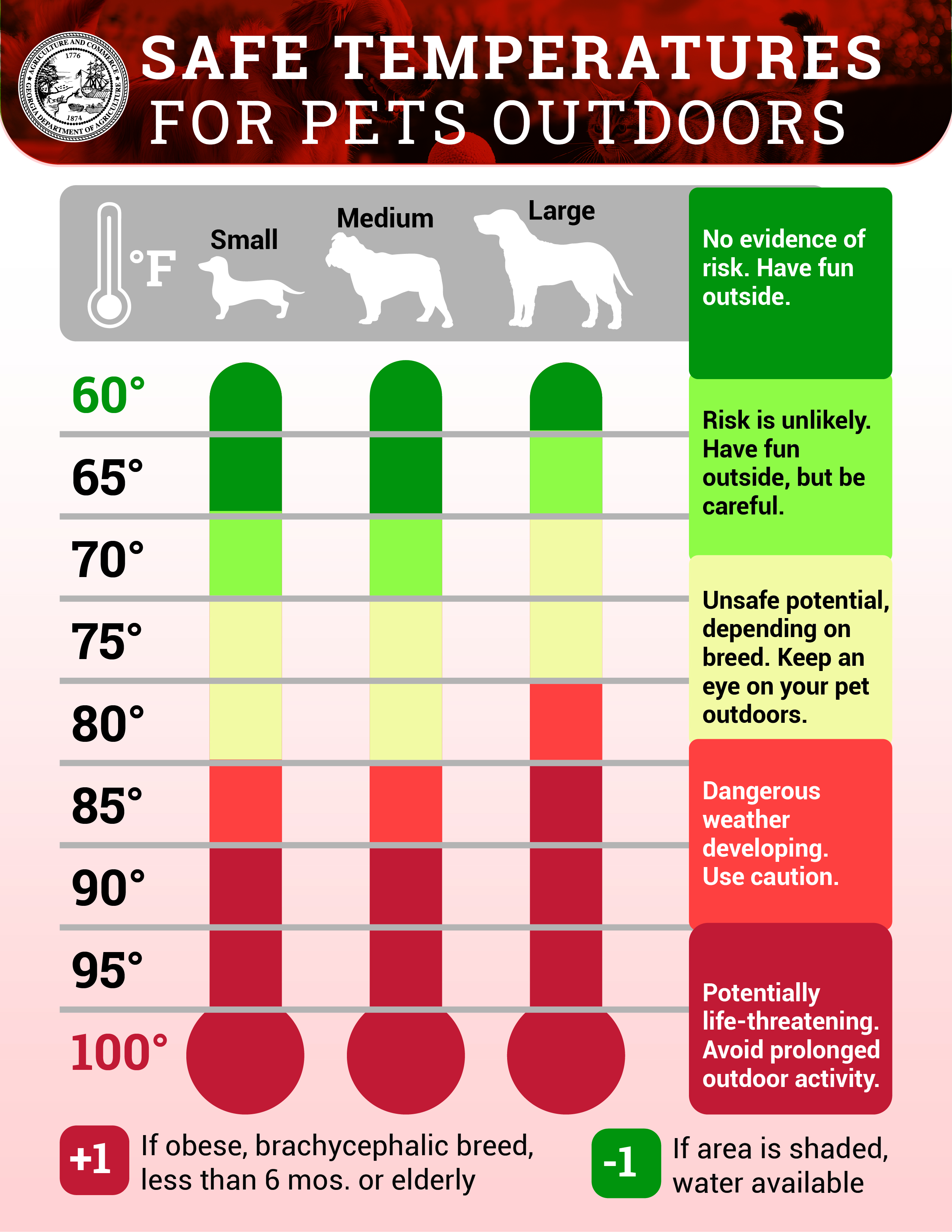 Safe Temperatures for Pets Outdoors