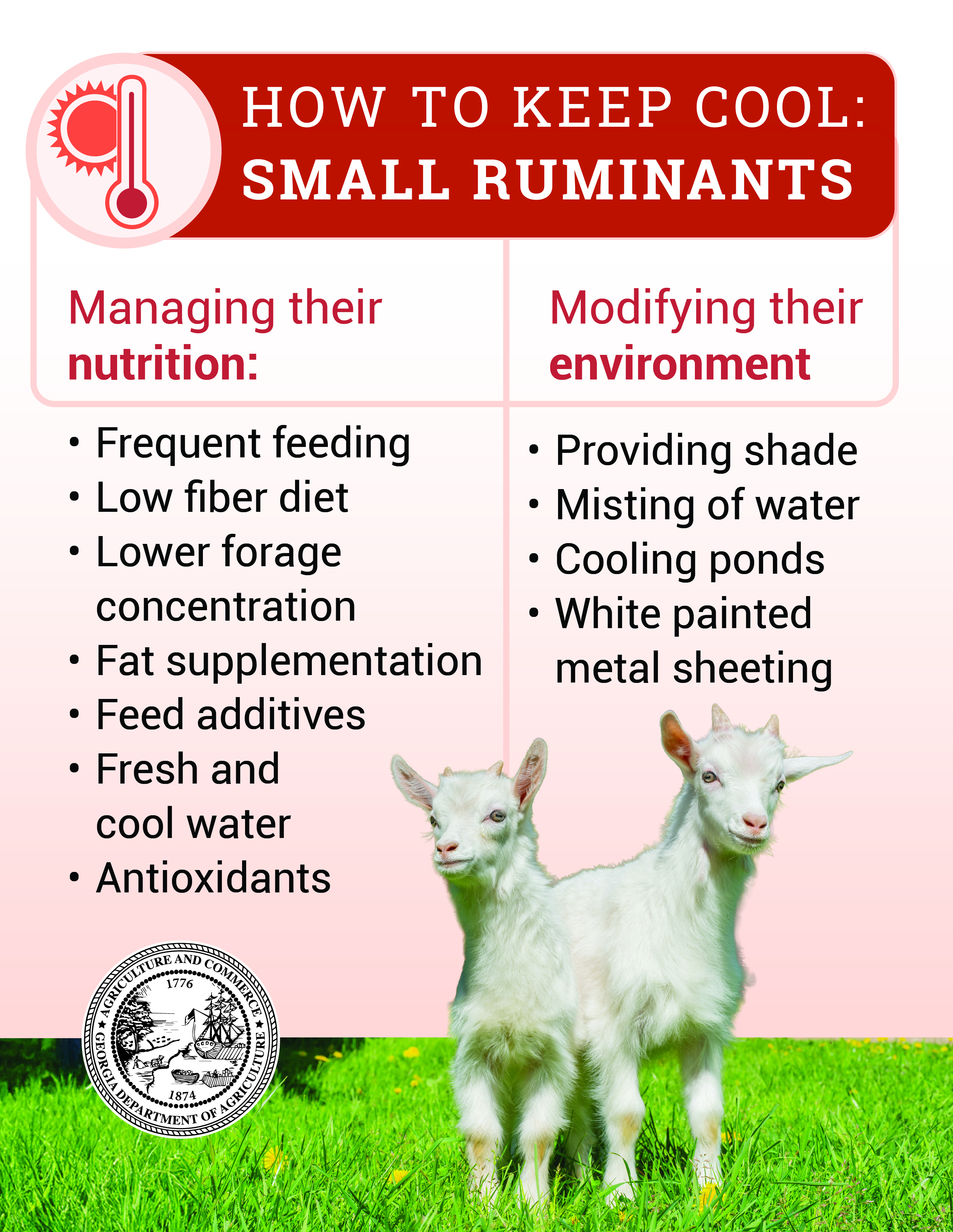 Small Ruminant Heat Stress