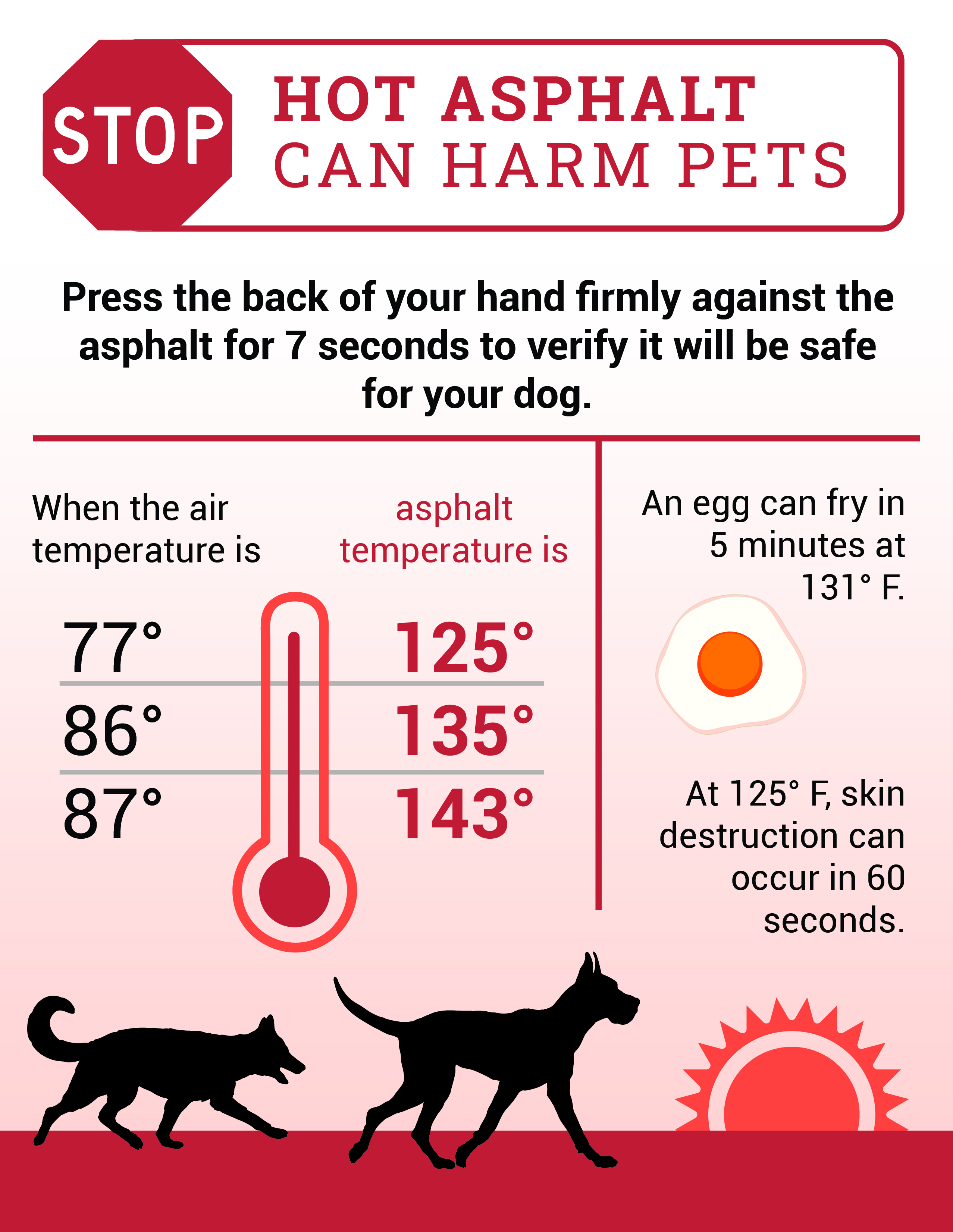 Hot Asphalt Can Harm Pets