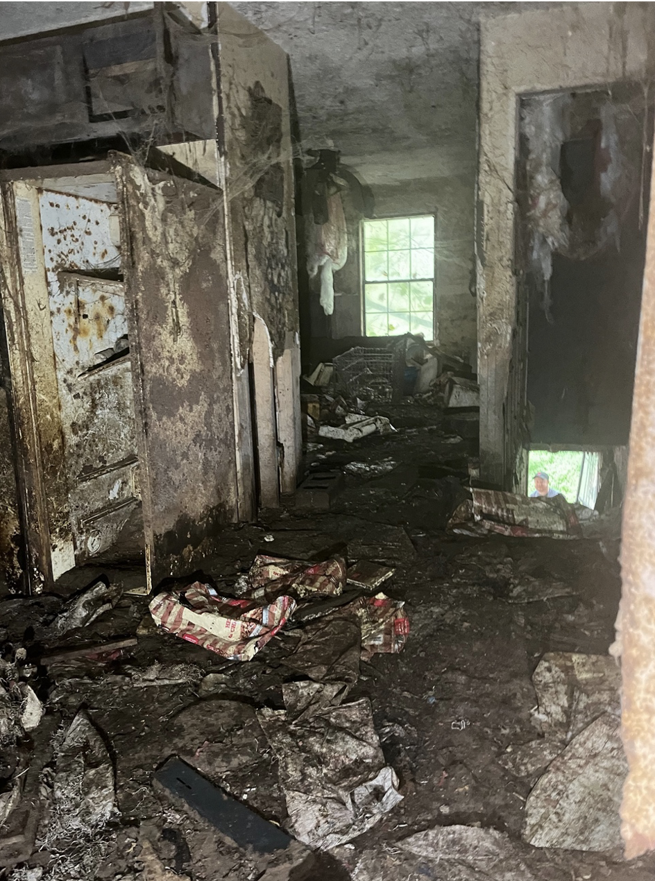 (Multiple animals were found living in extremely unhealthy condition inside an abandon structure on the property. Photo Credit: Georgia Department of Agriculture.)