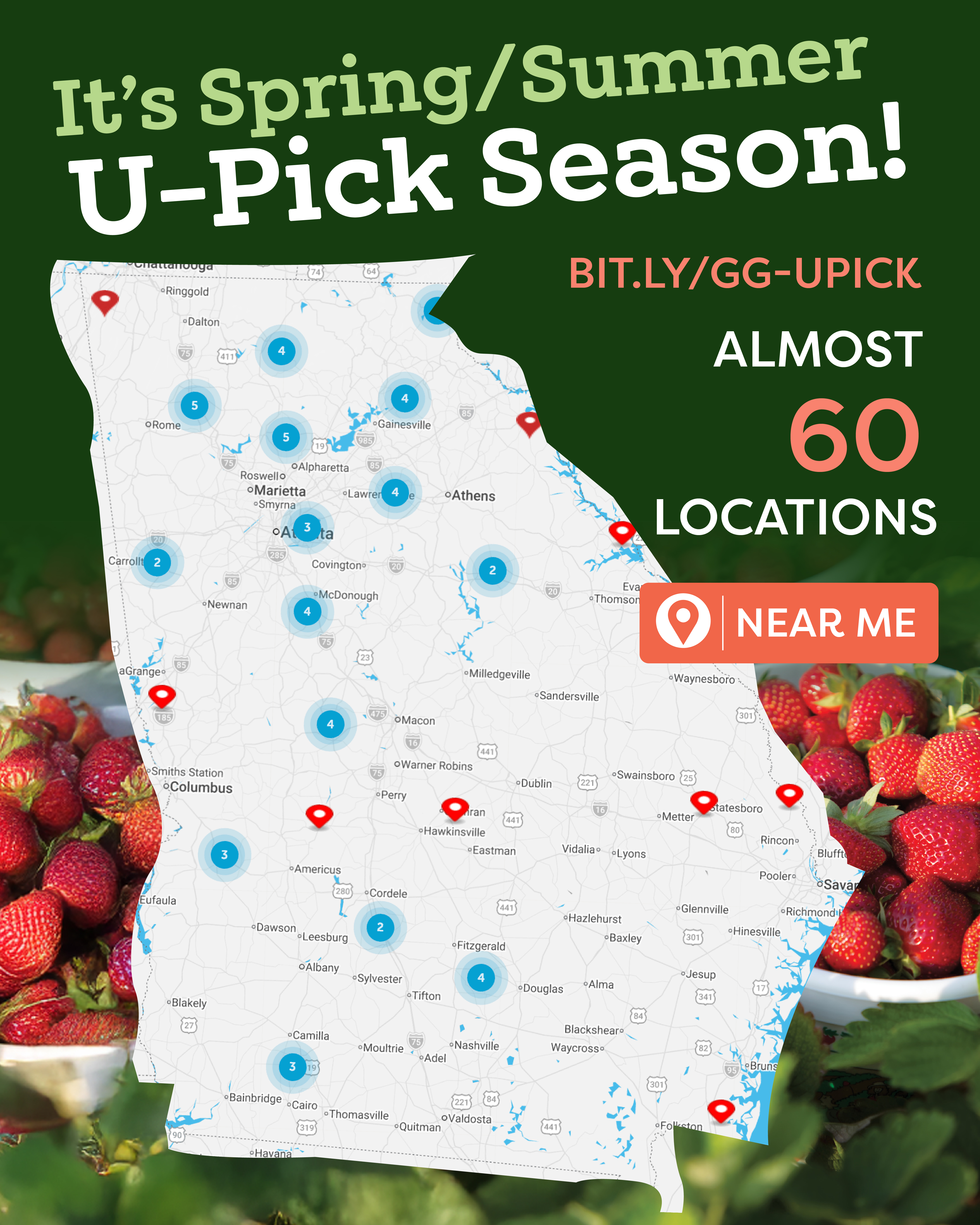 Georgia Agriculture Commissioner Announces Release of 2026 Georgia Grown Spring U-Pick Agritourism Map