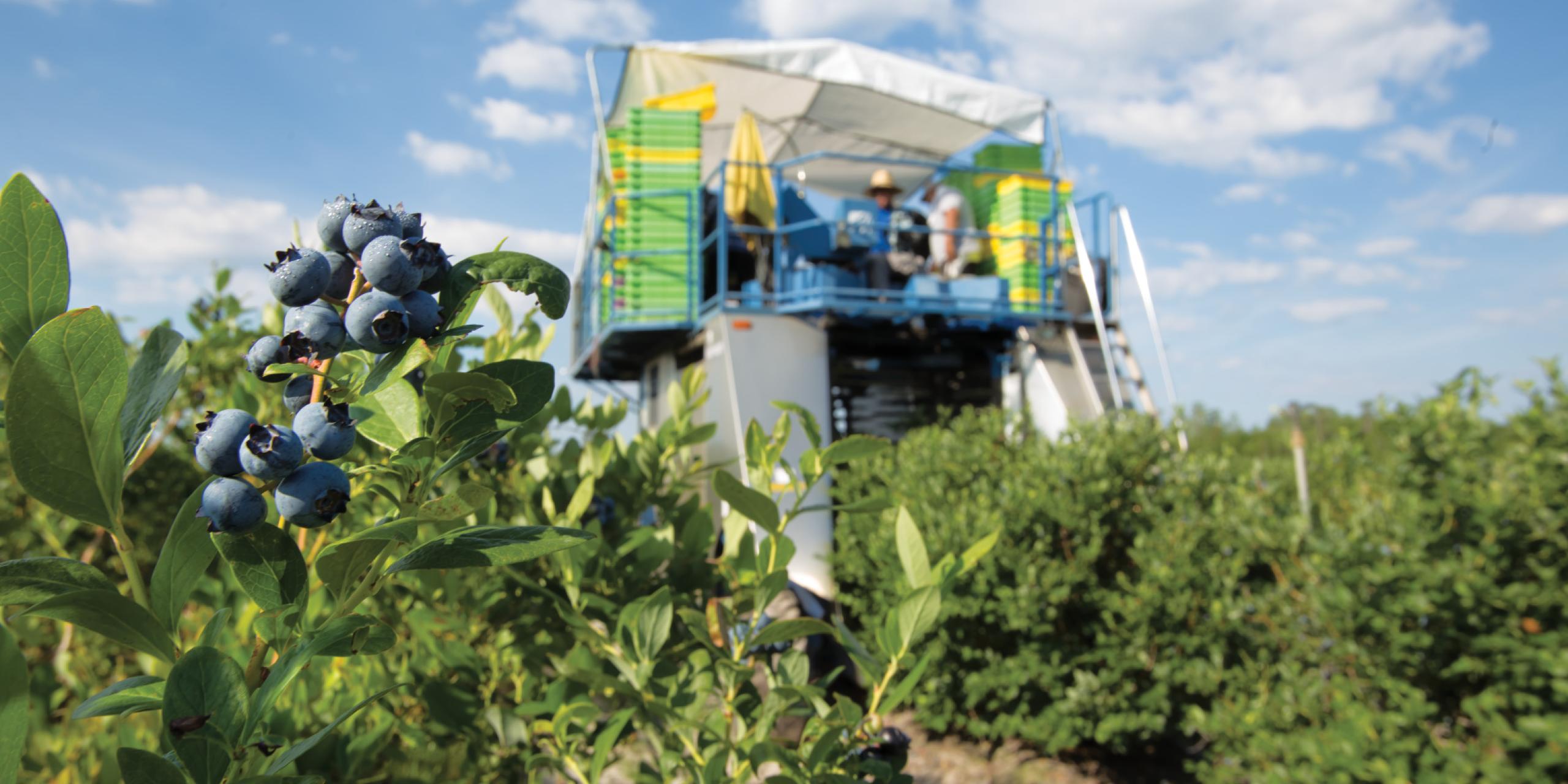 Produce Safety Department of Agriculture