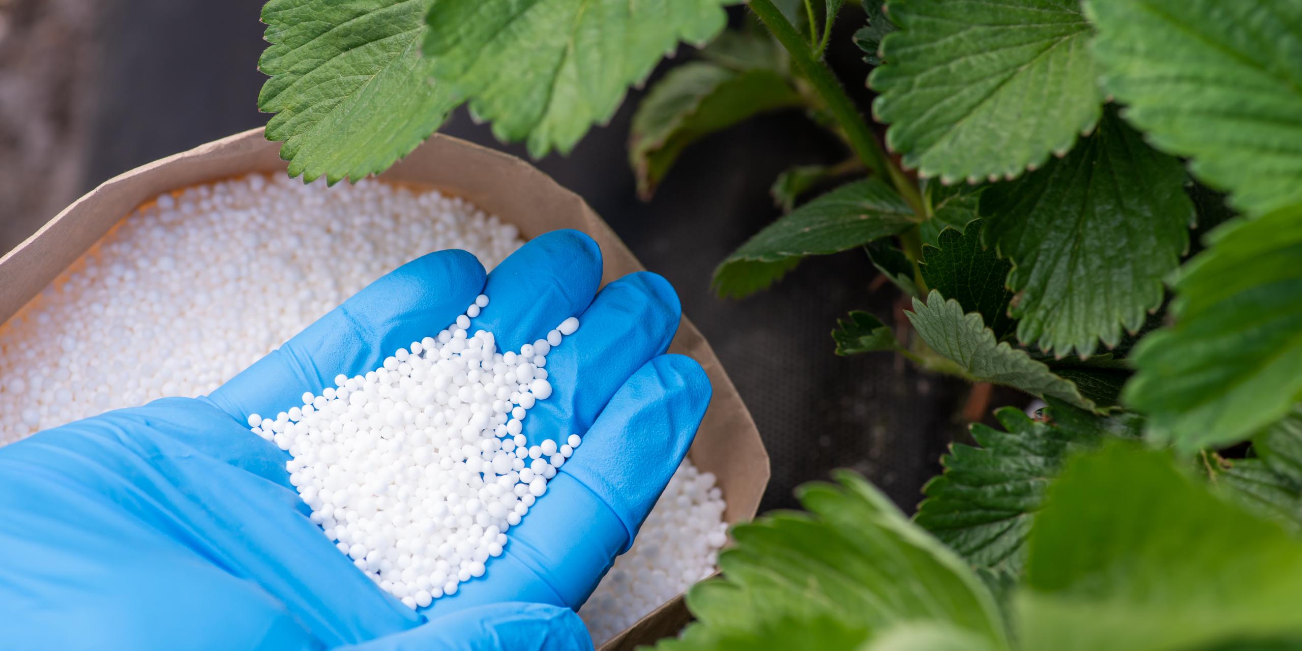 Fertilizer Department of Agriculture