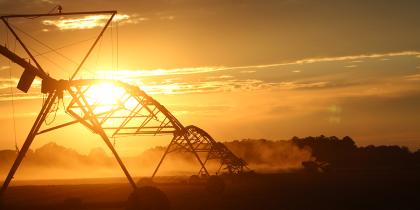 Agriculture Programs