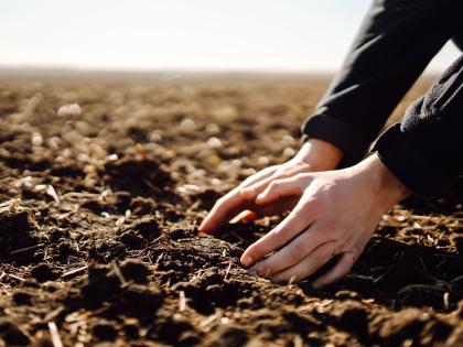 Soil and Fertilizers